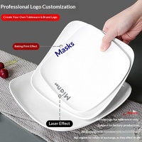 Assiette Commerciale en Mélamine A5 BST Personnalisée pour Restaurant, Solide, Moderne, Minimaliste, Colorée, Durable, de Qualité Alimentaire et Écologique