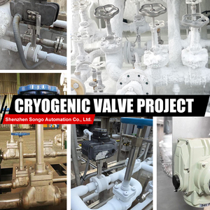ซัพพลายเออร์ลูกบอลไครโอเจนิกแบบฟลานจ์ 2 ชิ้น ขนาด DN80 220VAC ทนอุณหภูมิต่ำพิเศษ ผลิตจากเหล็ก 316 แบบฟอร์จ พร้อมก้านต่อขยาย - Product Image 4