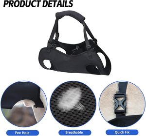 Arnés de Elevación para Perros, Correa de Soporte y Rehabilitación para Perros Grandes, Ancianos, Discapacitados, Lesiones Articulares, Artritis - Product Image 5