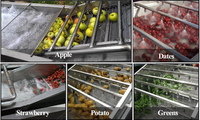 Automatische Fruitgroenten Tamato Wassen Reinigings-En Sorteermachine Kleine Verwerkingsfabriek Tomatenpuree Productielijn