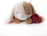 Benutzer definiertes Logo Heartbeat Stuffed Toy Sound Modul Vibrations chip für Hundes pielzeug