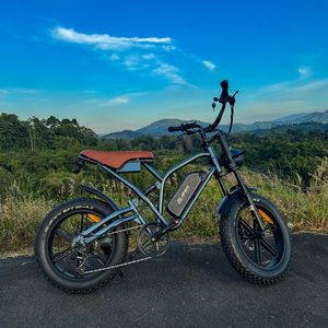 Bicicleta Eléctrica de Neumáticos Anchos 750w/250w, Disponible en Almacén, para Adultos, Híbrida, 25km/h, 48V X50, Neumáticos Anchos, para EE. UU. y UE - Product Image 4
