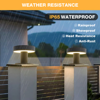 Lampe solaire décorative étanche IP65 à prix d'usine pour clôture de maison, porte, éclairage de jardin et usage extérieur