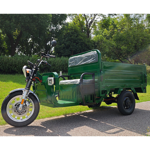Tricycles à 3 roues 2000W 3000W, trikes hydrauliques automatiques, véhicule à énergie nouvelle pour usage agricole, entrepôt Europe, EEC/COC, 2000W 30 - Product Image 6