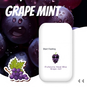 Verschiedene Fruchtduft OEM Bestseller Kräuter-Naseninhalierer Energie Bester Nasenstau-Löser Naseninhalierstift für Körperpflege - Product Image 1