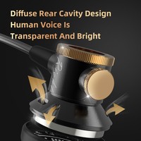 Écouteurs de jeu filaires à isolation phonique avec micro, design tour d'oreille, haut-parleurs dynamiques de 10 mm, basses profondes plaquées or 3,5 mm