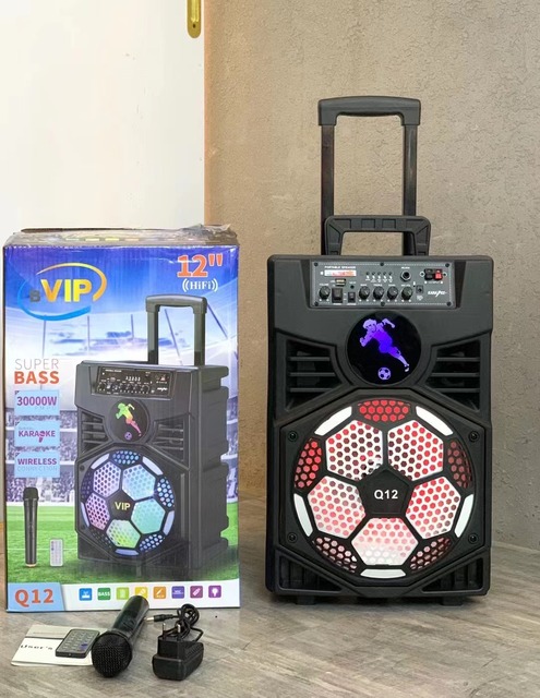 Q12 High Power Rechargeable Outdoor Trolley Speaker Karaoke Portable Speaker With Wireless Microphone
