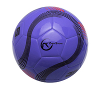 Zhensheng 2025 Ballon de football intérieur en TPU cousu à la machine avec logo personnalisé