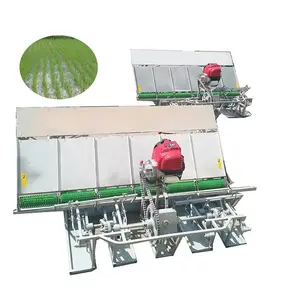 Hot Sale 6 Rows Rice Transplanter Rice Transplanting Machine Seeder Paddy Rice Planting Machine For Paddy