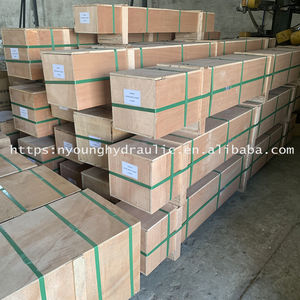 0789105 1100505 4695960 9246665 Zx200-3 kol bomu kepçe silindiri bezi kapağı pistonu - Product Image 6