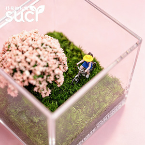 Miniatura de Bicicleta y Chica en Césped, Paisaje en Miniatura, Planta en Maceta para Oficina/Escritorio, Vegetación Creativa, Regalo para Personas Perezosas - Product Image 4