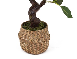 Bán Buôn Trong Nhà Văn Phòng Nhà Oh Nghệ Thuật 48 Cm Cây Cam Nhân Tạo Cây Trái Cây Trong Wicker Nồi Màu Xanh Lá Cây - Product Image 4