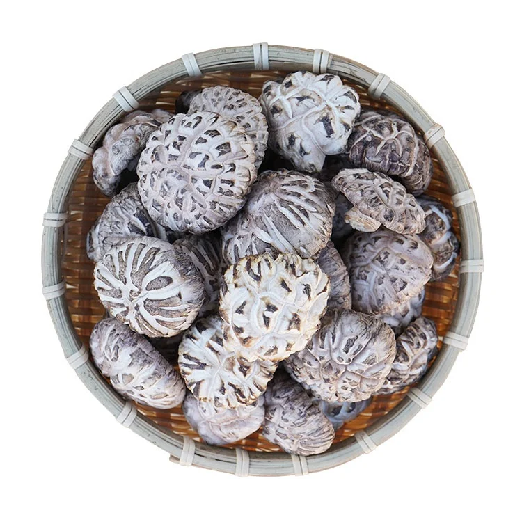 Organic Shiitake Mushrooms Agricultural packaging Dried shiitake mushrooms