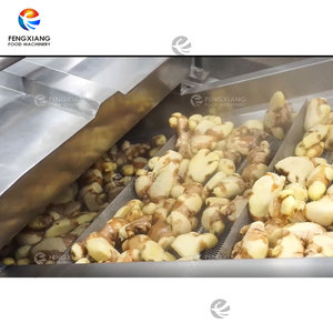 Industrial Continuous Ginger Potato Turmeric Hot Water Treatment Ginger Turmeric Blanching <strong>Machine</strong>