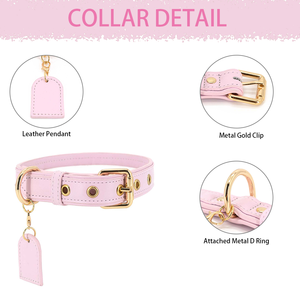Collar de cuero personalizado para perro y conjunto de correa Collar de lujo para mascotas y conjunto de correa Collar impermeable de cuero Vegano para perro - Product Image 4