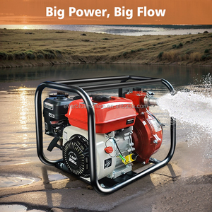 <span class=keywords><strong>Pompe</strong></span> à eau haute pression portable, kit de <span class=keywords><strong>pompe</strong></span> à eau à essence 550W, débit 40L/min, <span class=keywords><strong>pompe</strong></span> de transfert à essence - Product Image 3