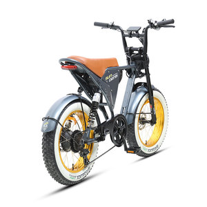 Ruota color oro TXED 48V 250W fuoristrada 7-speed bicicletta elettrica da terra per due piloti - Product Image 3