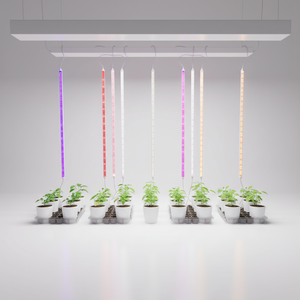 Tube LED de culture intégré à spectre complet <span class=keywords><strong>T5</strong></span> T8, 60 cm 120 cm, <span class=keywords><strong>pour</strong></span> jardin intérieur - Product Image 5