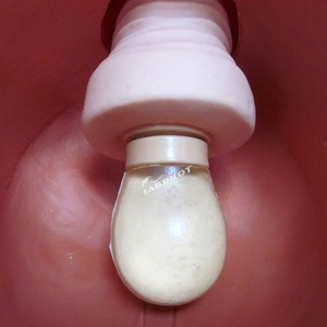 Modelo de Entrenamiento para la Práctica de la Anticoncepción Femenina, Simulador de Demostración para la Enseñanza de DIU - Product Image 5