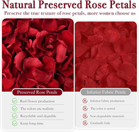 1000 pétales de rose pour la fabrication de sachets, le remplissage, la décoration de baignoires et de bains de pieds, la décoration pour la fête des mères et la Saint-Valentin