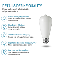 Ampoule LED à filament de verre ST19/ST58 à haut CRI90, dimmable, 8W, base E26/E27, super efficace pour la maison, l'hôtel et le commerce