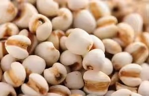 Coix種子エキス粉末天然有機精液<span class=keywords><strong>Coicis</strong></span>エキス - Product Image 4