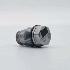 Auto Part Fuel Pressure Limited Ventil Überdruck ventil 1110010028 1110010015 1110010017 1110010010 - Product Image 6