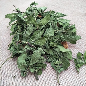 Foglie di Menta Essiccate Bo <span class=keywords><strong>He</strong></span>, Nuovo Raccolto, Grado Tè, Menta Piperita Aromatica, Ingredienti per Tè - Product Image 4