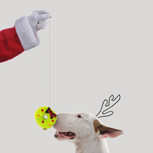 Juguetes navideños ecológicos para mascotas, cono de pino de silicona, juguetes para fugas de comida, juguetes para masticar perros, palos para gatos, juegos de cama para mascotas - Product Image 5