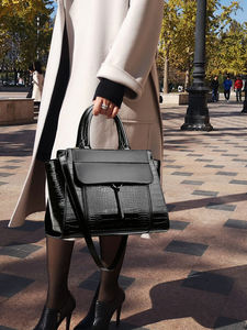 Fashion Custom New Style Ladies Versatile Crossbody <b>Bag</b> Large Capacity Ladies Shoulder Handbag - Product Image 5