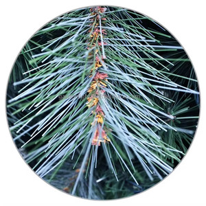 6FT Green PVC <b>Pine</b> Needles Mixed Christmas Tree Unlit-Easy Assembly Dense Branches Realistic Holiday Decor for Home Hotel - Product Image 3