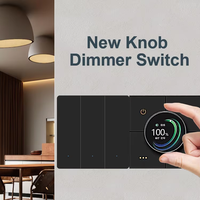 ZigBee Intelligent Gradateur Lumière Commutateur Simple et Double Pôle App Télécommande Commande Vocale Scène Liaison CCT Bouton Réglage