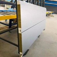 Panneaux sandwich à haute efficacité d'isolation en polyuréthane/EPS/PU/PIR/PUR/laine de roche pour entrepôts frigorifiques