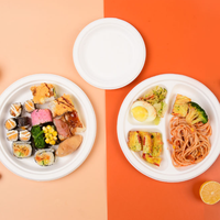 Assiette de salle à manger jetable biodégradable pour gâteau servant des plats et des assiettes écologiques