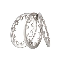 304 Stainless Steel Inner-Tooth Outer-Tooth Lock Washers Whitewashing Finish Multiple Sizes DIN 679 Daisy M2M30