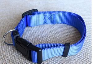 Lebendiges und langlebiges rotes Hunde halsband mit stabiler Kunststoffs chnalle und Metall-D-Ring für sichere und stilvolle Haustier kleidung - Product Image 3