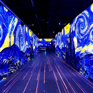 Expérience de projection laser en intérieur pour les musées, les galeries, les centres scientifiques, les expositions culturelles et les salles d'art numérique - Product Image 5