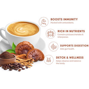 Extracto de hongo de café de Ganoderma instantáneo orgánico de primera calidad de calidad superior que promueve el bienestar Sabor cremoso de sabor suave 12g X - Product Image 3