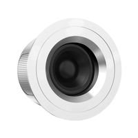 Système de son surround passif mini 8 ohms 2*20W, haut-parleur de plafond haute puissance, haut-parleur de plafond pour la musique d'ambiance à domicile, à l'hôtel