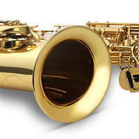 Saxophone Alto Professional Gold Nickel Plated BE ALTO Saxophone