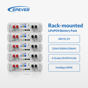 <span class=keywords><strong>EPEVER</strong></span> 6000 Cycle Rack Mount 51.2V Lifepo4 Batterie 200AH 100AH 50AH 10Kwh <span class=keywords><strong>5kw</strong></span> 10kw Batterie solaire au lithium-ion avec BMS - Product Image 1