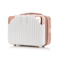 Porte-étui à cosmétiques en ABS léger de 14 pouces pour femmes Mini sac de voyage multifonctionnel professionnel cabine valise bagages maquillage