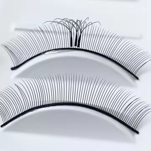 Clover Lash Extensions W Lashes 6D W Mega Volume Lash Trays <span class=keywords><strong>Premium</strong></span> Pro Made Fans Extensions de cils - Product Image 3
