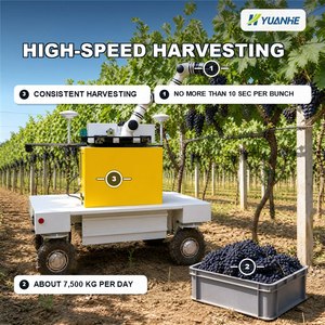 Robot recolector de uvas para invernaderos y huertos, robot recolector para <span class=keywords><strong>España</strong></span> - Product Image 5
