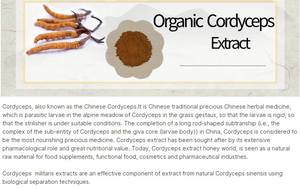 GANOHERB 유기농 동록하근 시넨시스 밀리타리스 추출물 분말 OEM 공장 USDA 인증 폴보 데 엑스트라토 데 히에르바 대량 공급 - Product Image 3