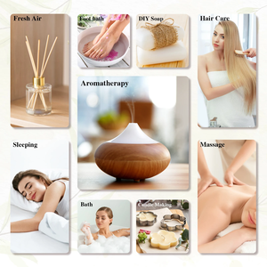 6 pièces/ensemble huile essentielle coffret cadeau huile de Massage à Diffusion d'aromathérapie naturelle pour le sommeil humeur soulagement du Stress <span class=keywords><strong>spa</strong></span> de qualité thérapeutique - Product Image 6