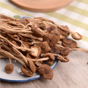 Série de champignons naturels nutritifs champignon d'arbre à thé séché bonne qualité cyclocybe <span class=keywords><strong>aegerita</strong></span> - Product Image 3