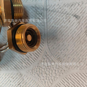 WG9000360115 Contrepoids pour vanne de vidange de réservoir d'air et clapet anti-retour pour camions Howo et Shaanxi Delong - Product Image 5