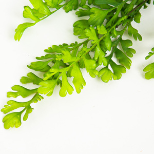 Tre forchette foglia di sedano erba artificiale <span class=keywords><strong>felce</strong></span> persiana appeso cesto di fiori decorazione <span class=keywords><strong>felce</strong></span>, erba artificiale - Product Image 5