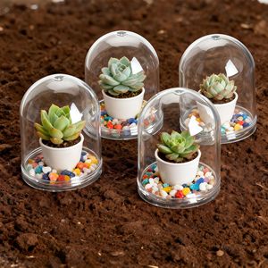Acrylic Round <b>Display</b> Box With Preserved Flower For Cake Decoration Wedding Gift Cover Dust Proof Transparent Protective <b>Case</b> - Product Image 3
